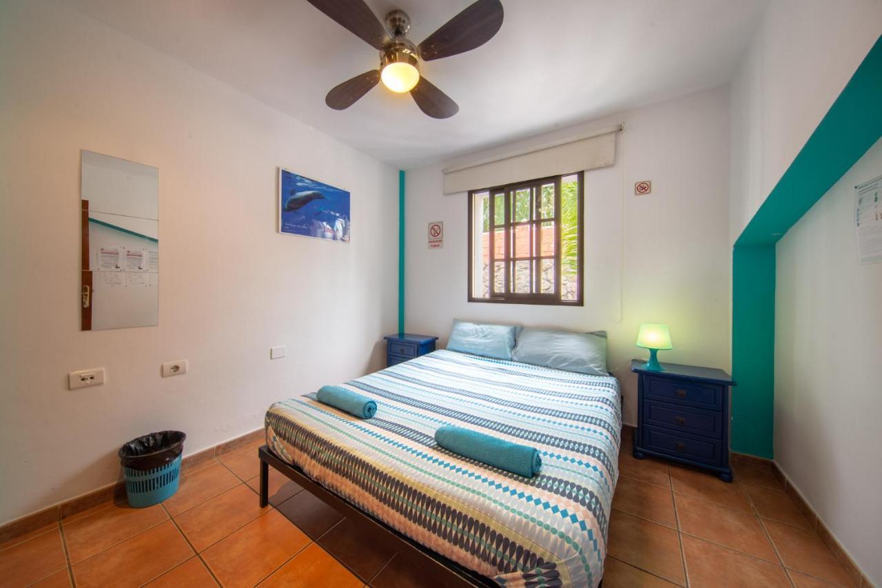 Hostel La Tortuga *