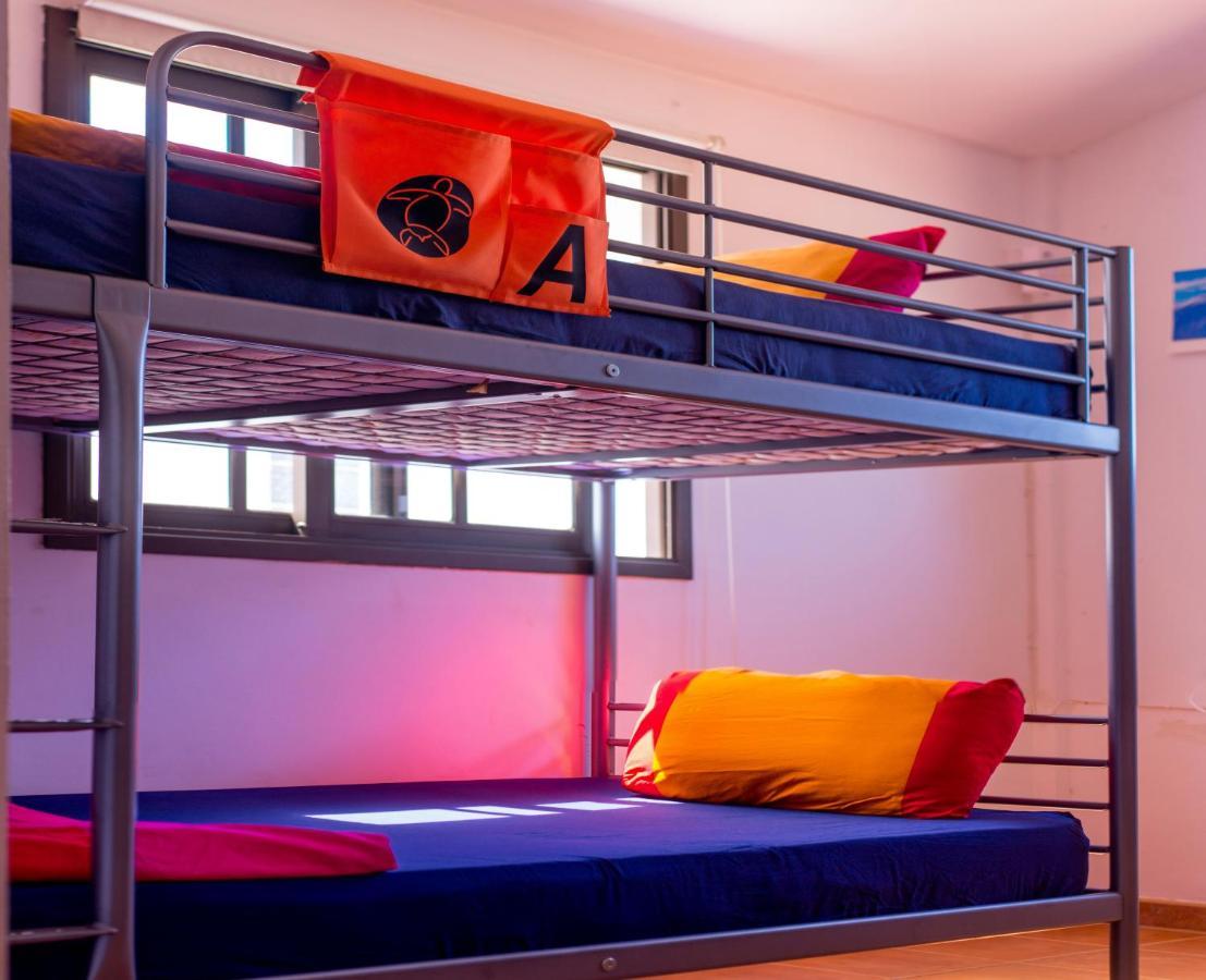 La Tortuga Hostel *